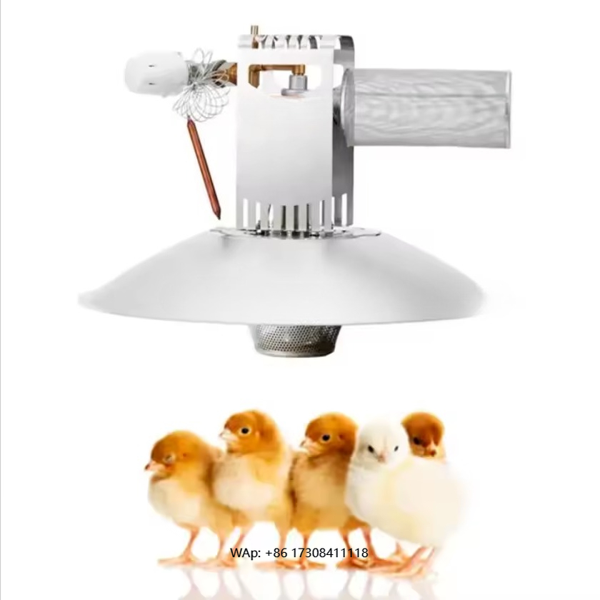 Sports Equipment Air China - อุปกรณ์เลี้ยงไก่คุณภาพสูง Damley Sunflower China พร้อมเครื่องทำความร้อน Air