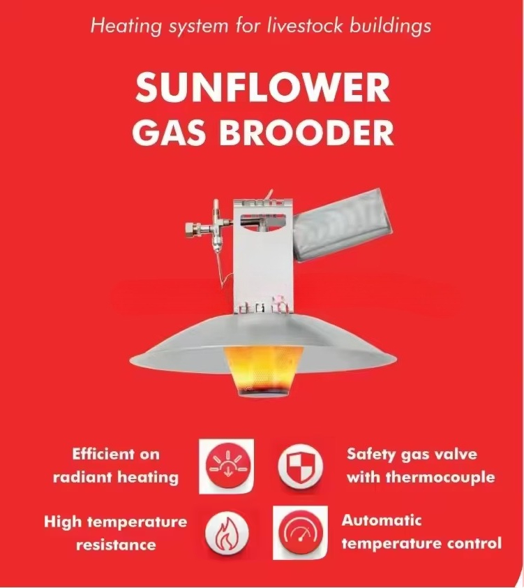 อุปกรณ์เลี้ยงไก่คุณภาพสูง Daml - Sports Equipment Air China บทวิจารณ์และราคา