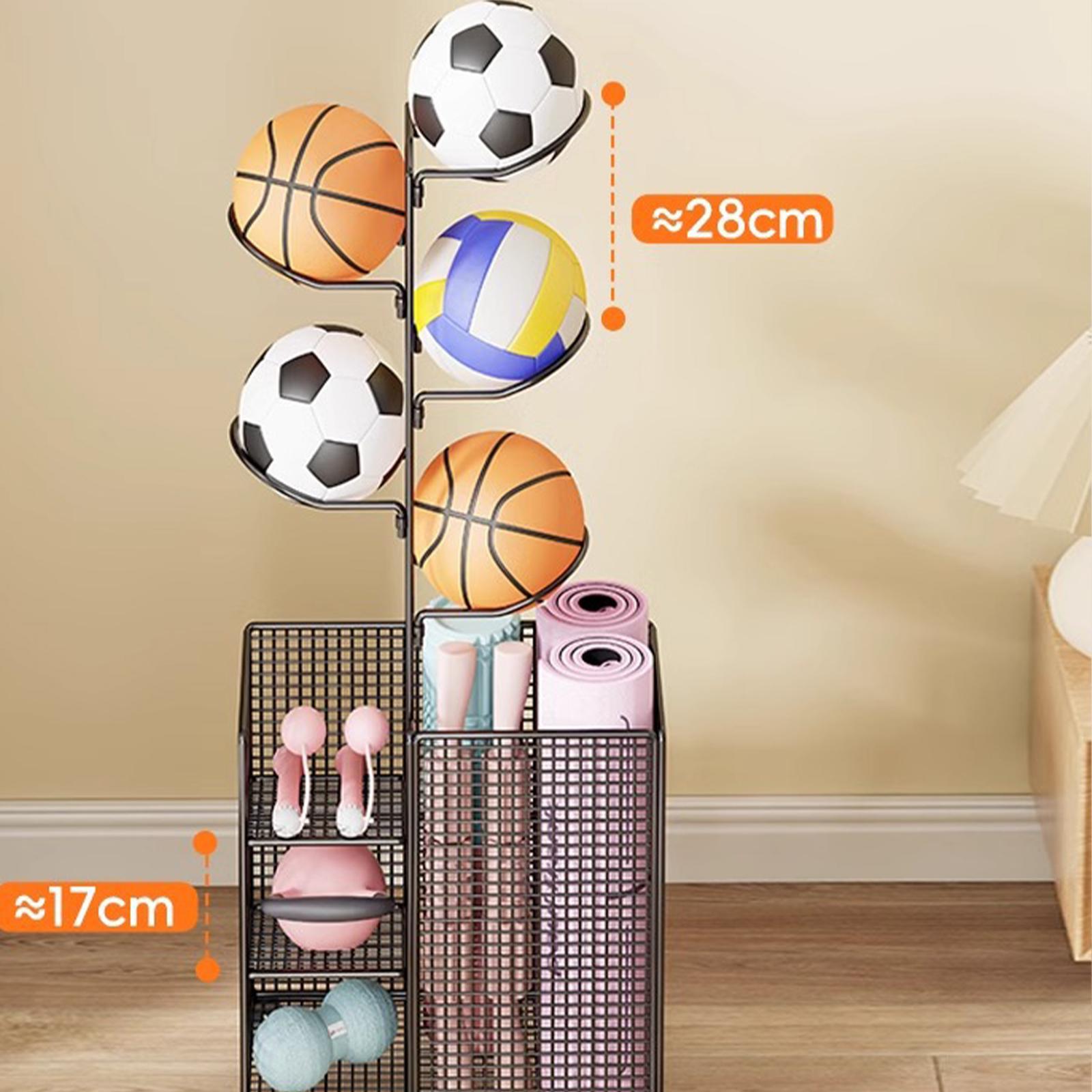 ชั้นวางเก็บลูกบาสเก็ตบอลแนวตั้ - Sports Equipment And Facilities บทวิจารณ์และราคา